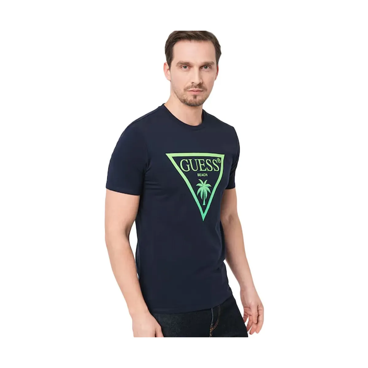 Palmas triangle