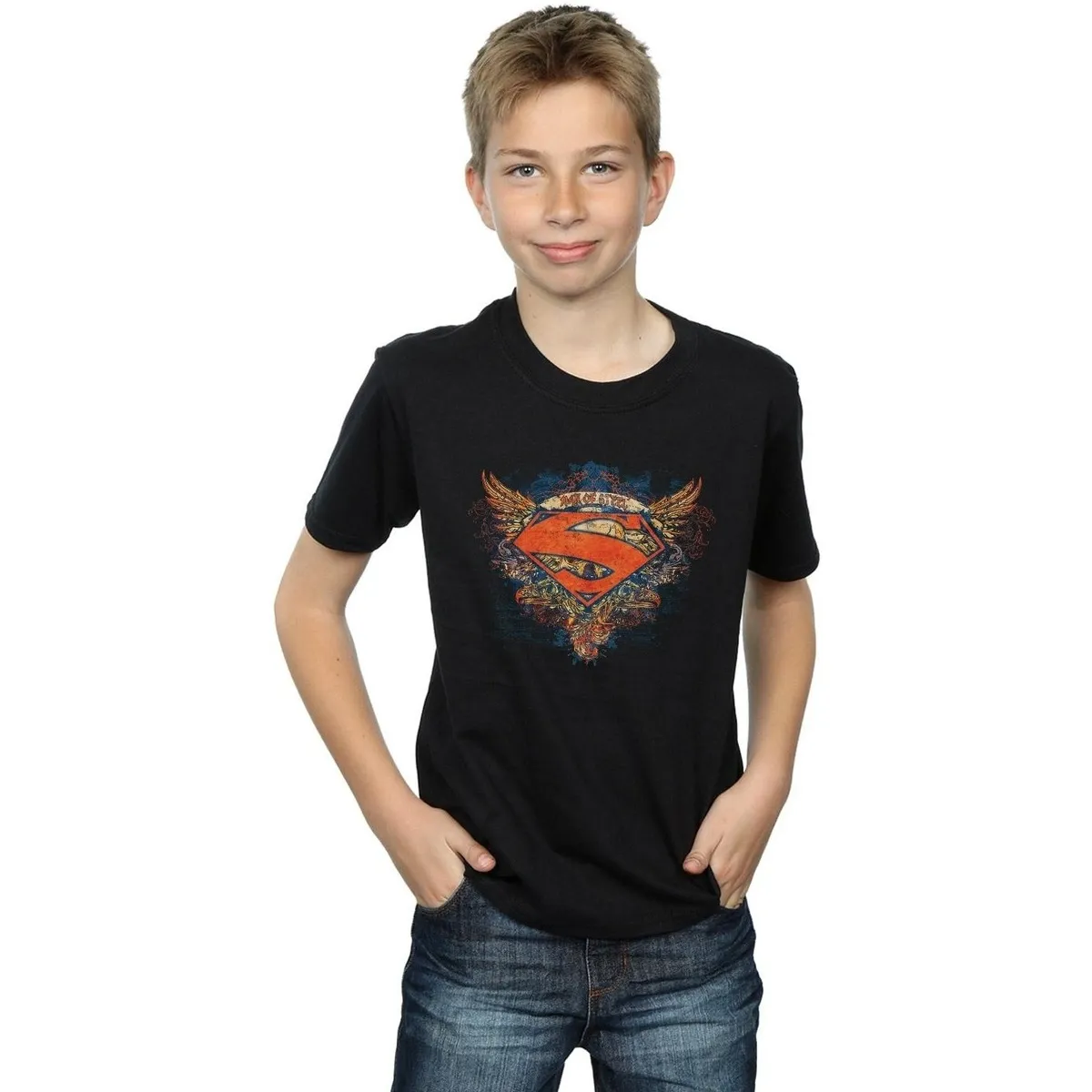 Superman Wings Shield