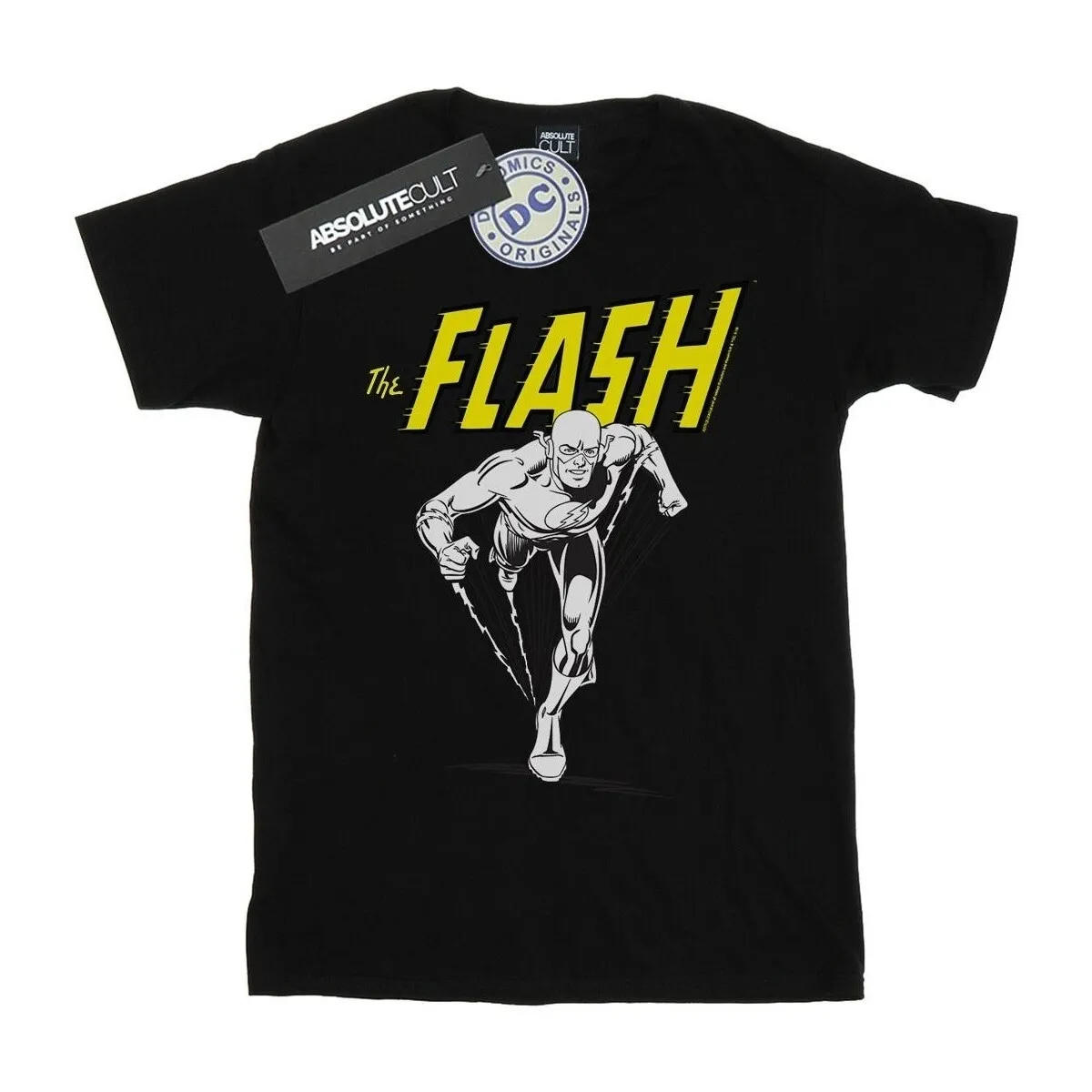 The Flash Mono Action Pose